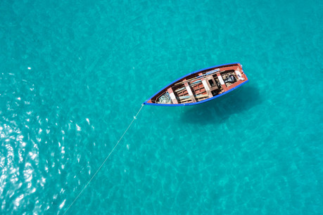 «À la veille de la Journée de l’Europe, qui sera célébrée le 9 mai, cette opération s’inscrit dans un esprit de solidarité et de coopération européenne.» (Photo: Shutterstock)