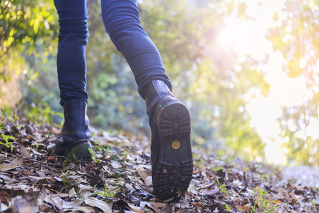 Il existe 201 circuits de randonnée et de marche au Luxembourg. (Photo: Shutterstock)