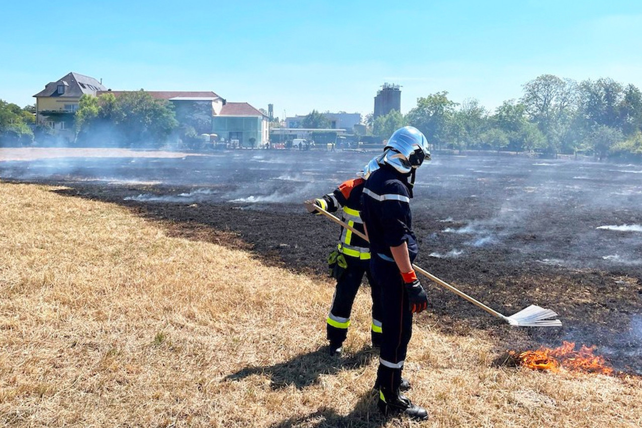 Luxembourg firefighters are often confronted with field fires or harvest fires. "If the fire spreads to the forest, it is the undergrowth and bushes, which burn down to the level of the trunks," explains Cédric Gantzer of CGDIS. (Photo: CGDIS)