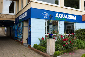 The building is clearly labelled. Photo: Eva Krins / Maison Moderne