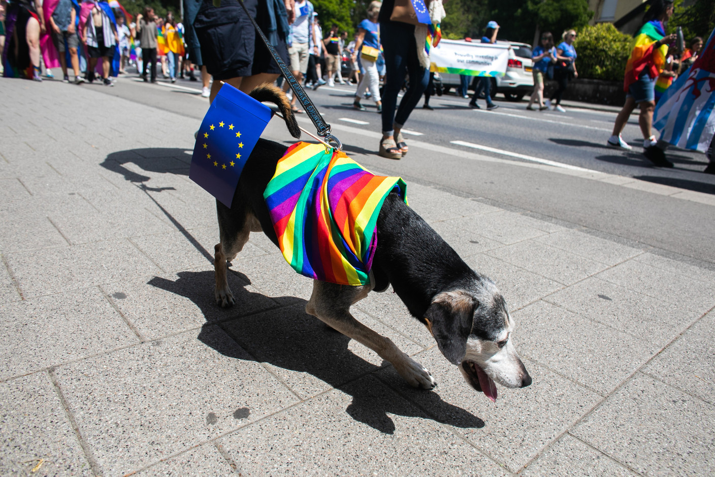 Bien accompagné lors de la Pride March dans les rues d’Esch-sur-Alzette. (Photo: Matic Zorman/Maison Moderne)