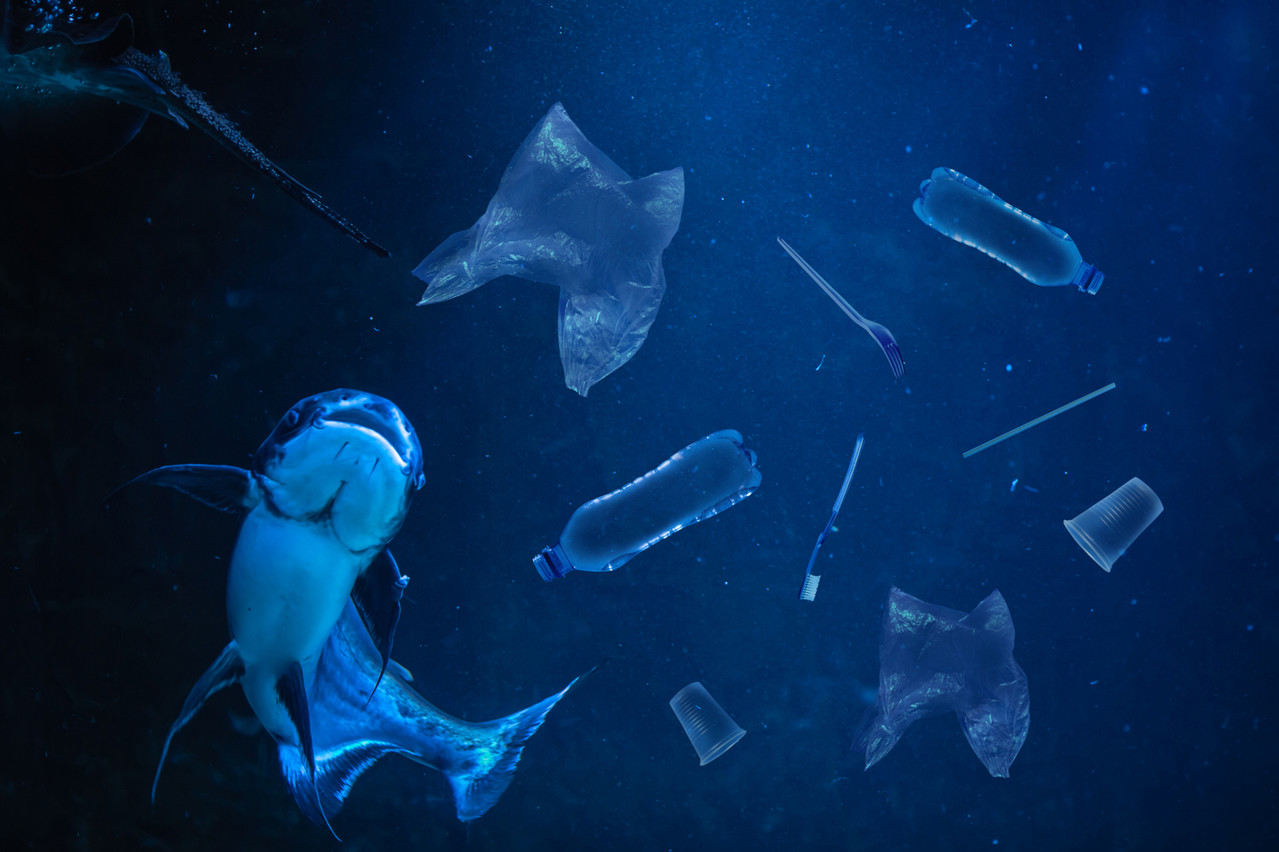 Trois des trente-six projets retenus ont trait à la propreté des océans, que ce soit le nettoyage du plastique ou la transformation des émissions de CO2 en nourriture pour les poissons. (Photo: Shutterstock)