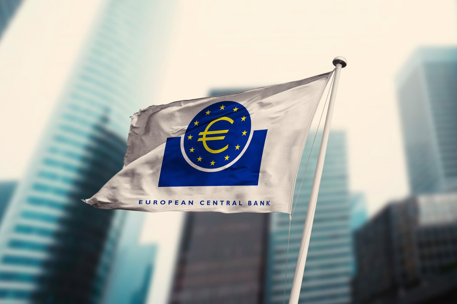 Europe must mobilise an additional €5.4trn by 2031 to advance its green, digital and defence security and strategic autonomy objectives, said European Central Bank economists Ettore Dorrucci, Carolin Nerlich and Othman Bouabdallah in a blog post in June. Photo: Shutterstock
