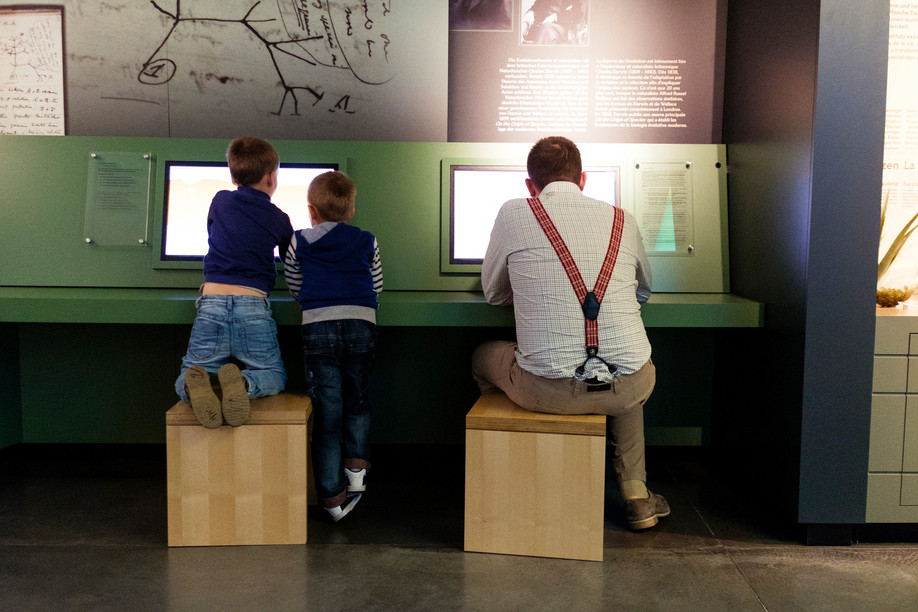 Luxembourg’s natural history museum, the MNHN, pictured, dazzles young explorers  Martine Pinnel