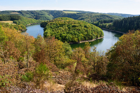 La vallée de la Haute-Sûre est non seulement une attraction touristique qui, en été, attire de nombreuses personnes sur ses plages, mais c’est surtout la plus grande réserve d’eau potable au Luxembourg, rappelle Natur&Ëmwelt. (Photo: Shutterstock)