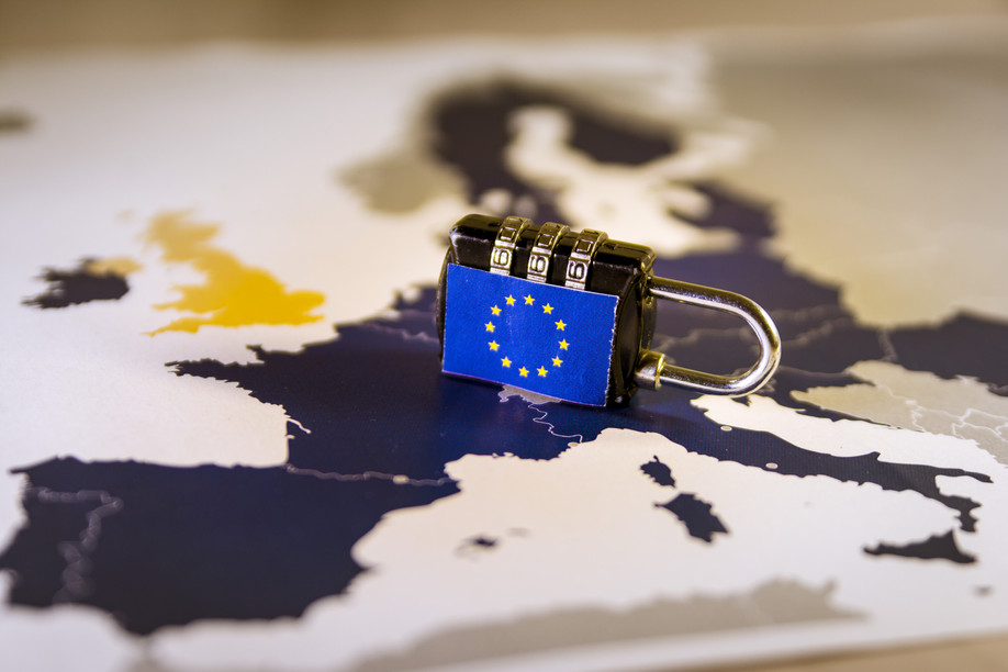 The functioning of the EU single market itself could be at risk, warn auditors. Copyright (c) 2017 Ivan Marc/Shutterstock. 