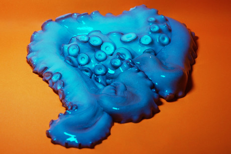 «Vampire Squid», une des œuvres les plus fortes de l’exposition «Collapsed Mythologies», présentée jusqu’au 29 août au CNA de Dudelange. (Photo: Eline Benjaminsen)