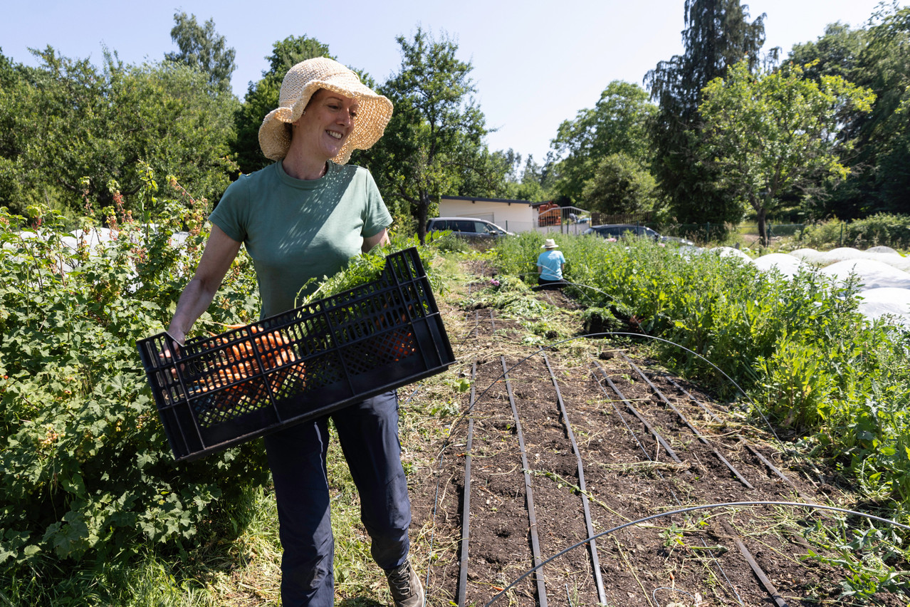 Terra runs an apprenticeship programme where people can get hands-on practical experience running an ecologically regenerative garden enterprise. Photo: Guy Wolff/Maison Moderne