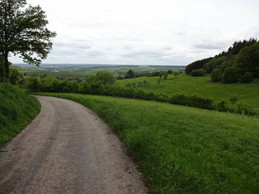 Vue du sentier de randonnée N4. ((Photo: Mullerthal.lu))