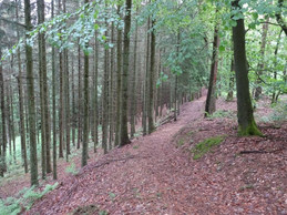 Vue du sentier de randonnée N4. ((Photo: Mullerthal.lu))