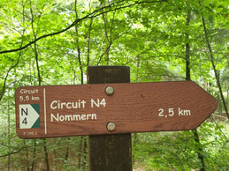 Vue du sentier de randonnée N4. ((Photo: Mullerthal.lu))