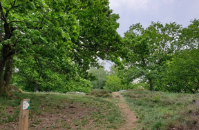 Vue du sentier de randonnée N4. ((Photo: Mullerthal.lu))