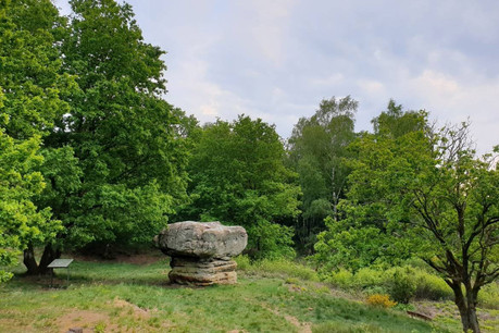 Le «champignon» est un rocher dont la formation remonte aux âges préhistoriques. (Photo: Mullerthal.lu)