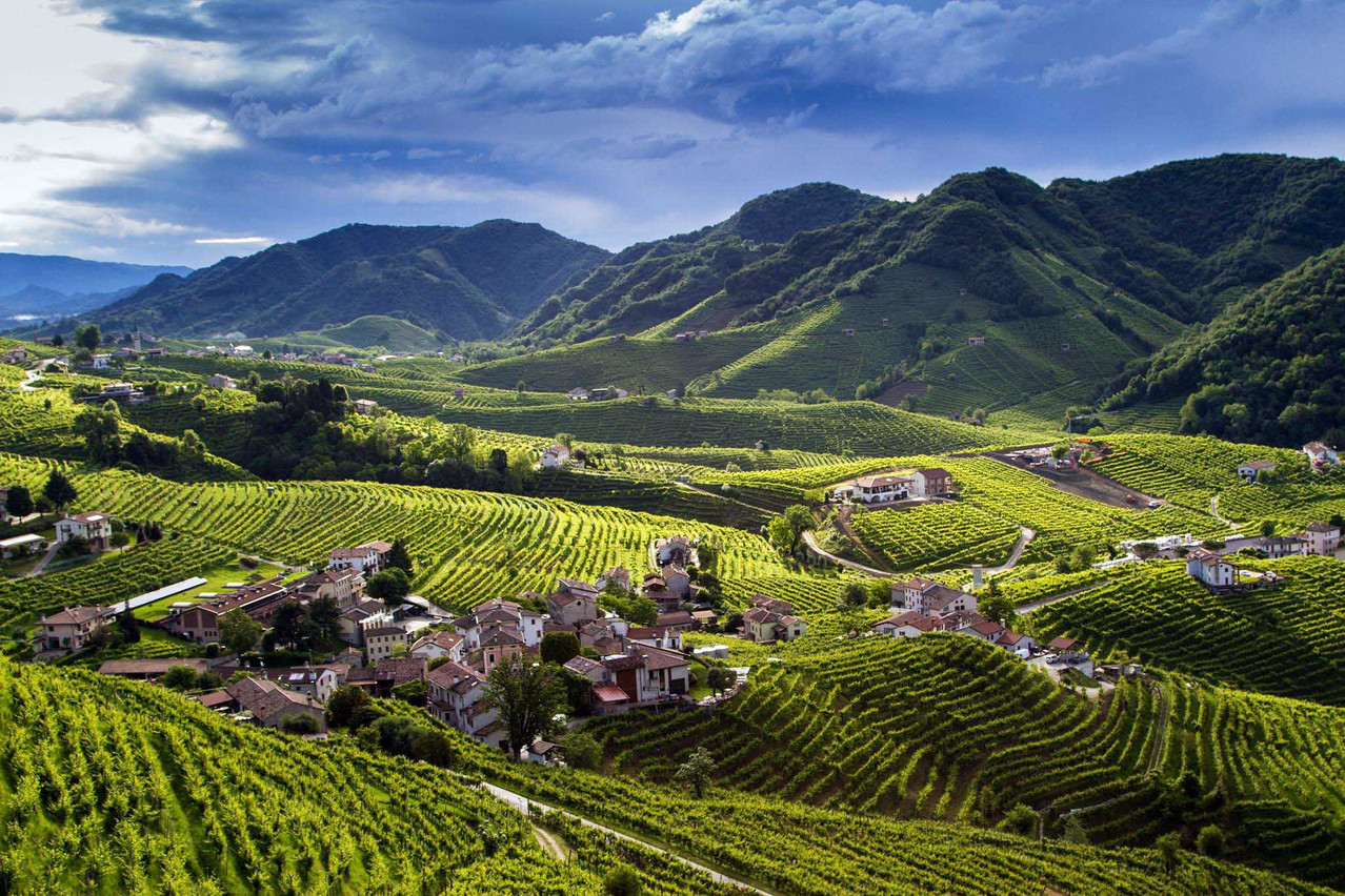 Prosecco Hills of Conegliano and Valdobbiadene, an UNESCO site in Veneto ©archivio Regione Veneto