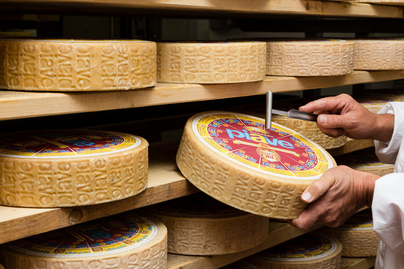 PDO cheese Piave - Dolomites, Veneto ©archivio Consorzio DMO Dolomit