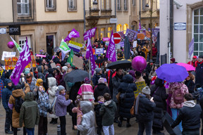 Around 1,000 people made their way through the streets of the capital Photo: Romain Gamba