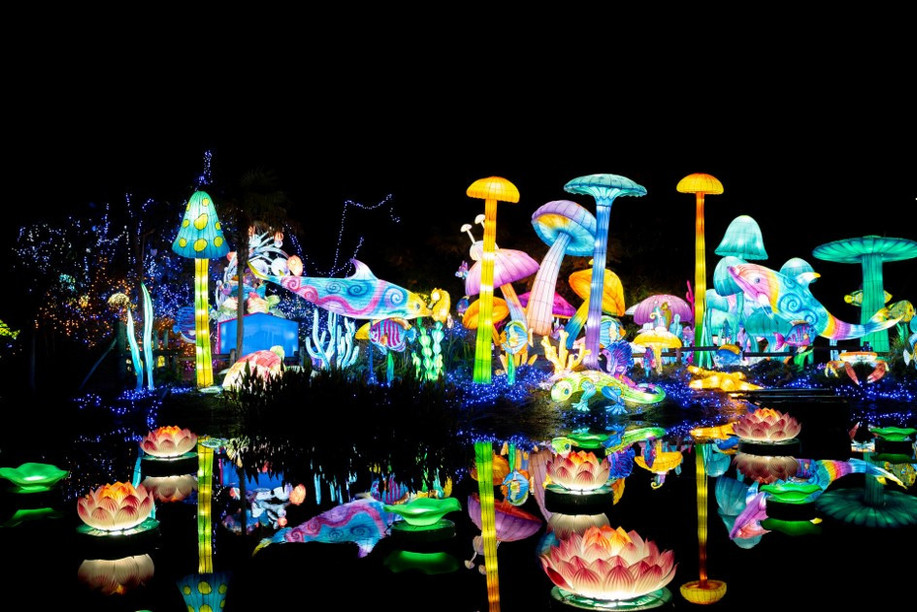 Luminescences Festival 2024 Photo: Zoo Amnéville