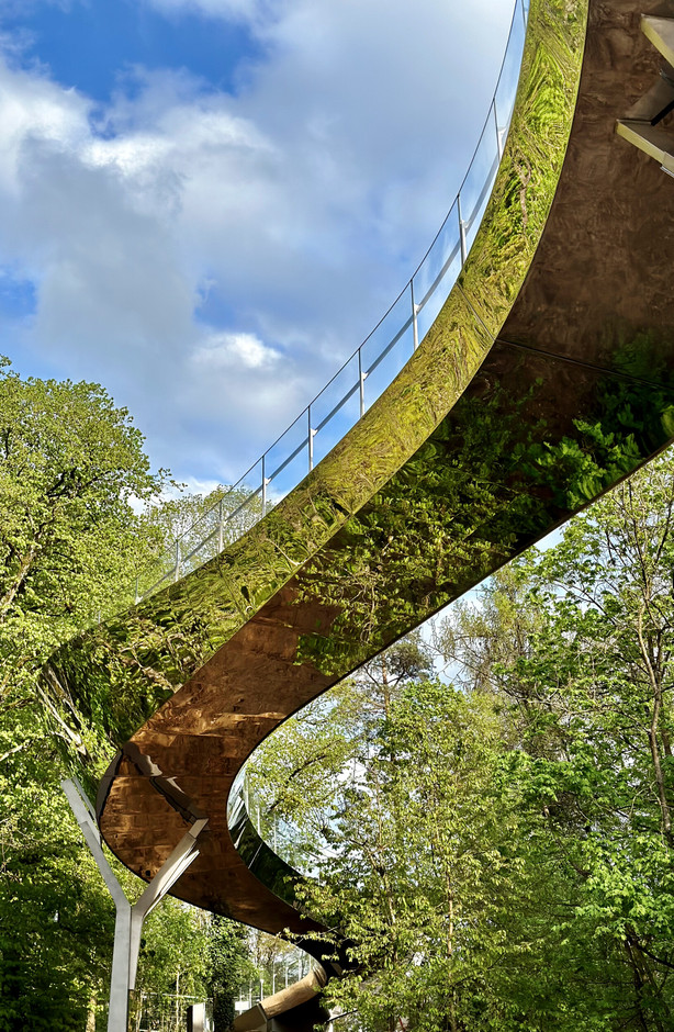 Marc Mimram Architecture Ingénierie, in collaboration with Fabeck Architectes, has won the L sub-category for the Passerelle des Arts in Luxembourg: with its S-shape, it invites visitors to take a stroll and immerse themselves in the forest, whilst also connecting two points. (Photo: Erieta Attali)