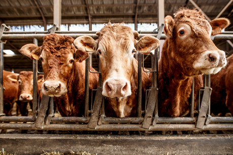 Le bio concerne aussi bien l’agriculture que l’élevage. (Photo: Maison Moderne Publishing)