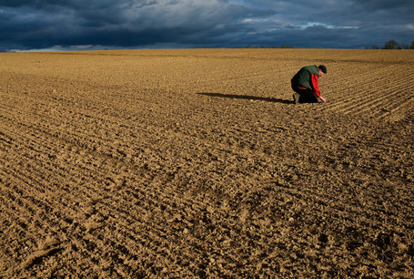 La famille Spies est à la tête d’une ferme biologique en Allemagne et assure une agriculture à la fois rentable et durable. (Photo: Uwe H. Martin & Frauke Huber)