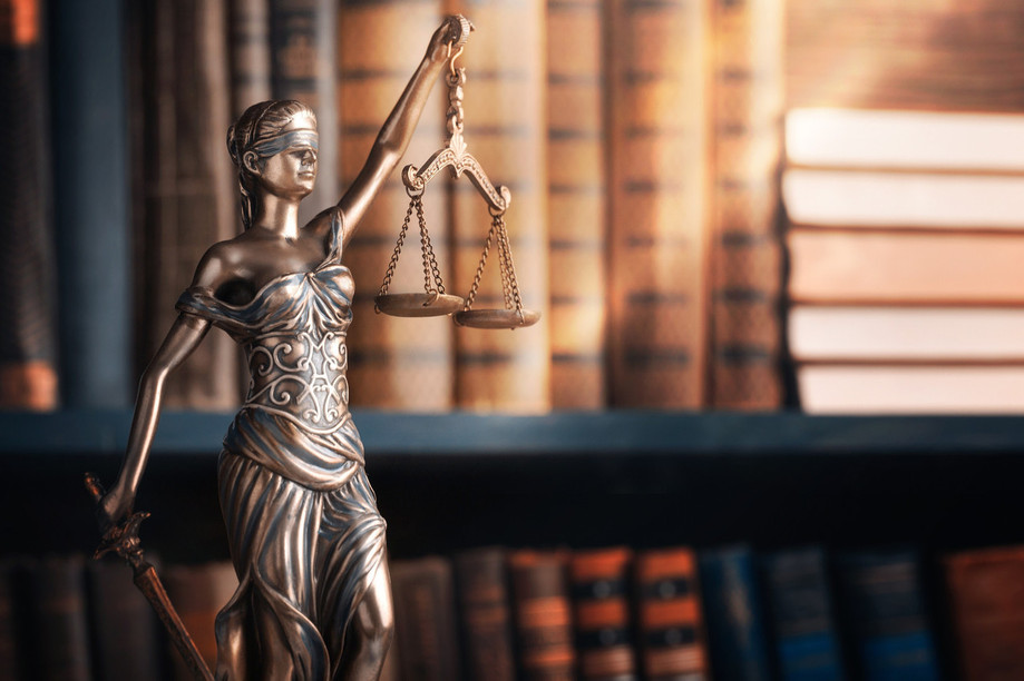 The two-year terms of office for the new board members will begin on 1 July this year, with the terms of office of the current members ending on 30 June. Photo: Shutterstock