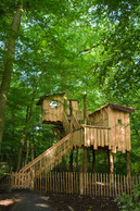 The site also has five treehouses  Photo: Morgane Bricard