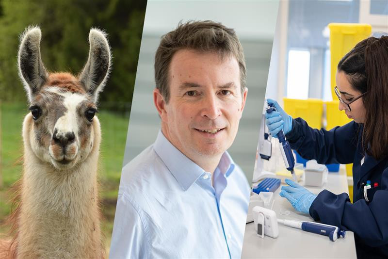 La société belge d’immunologie Argenx connaît une année très intéressante et monte en flèche dans le domaine de la biotechnologie.   (Photo: Argenx, Shutterstock/Montage: Maison Moderne)