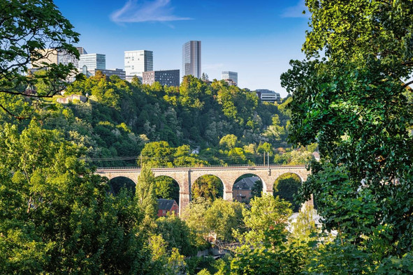 Le dispositif du couvert boisé urbain permet, sous certaines conditions, d’éviter des mesures supplémentaires pour protéger l’habitat de six espèces d’oiseaux lors de projets en zone urbaine. (Photo: Shutterstock)