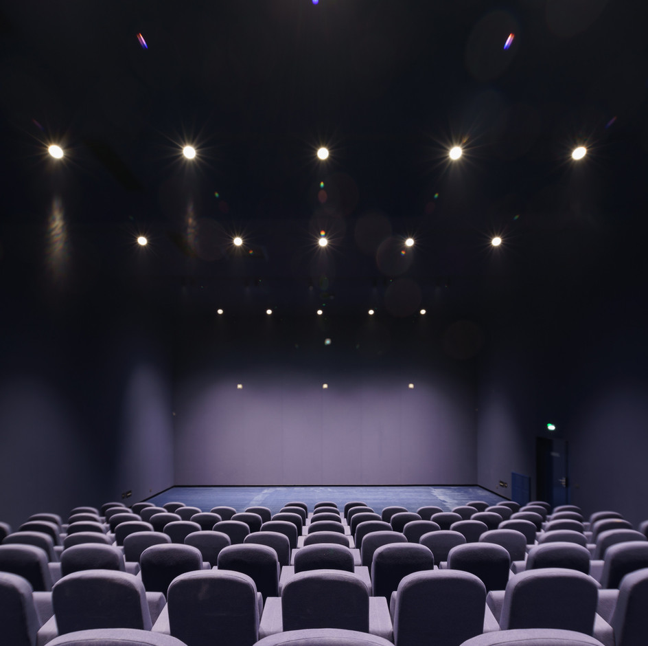 Vue de la salle de cinéma. (Photo: Bartosch Salmanski)