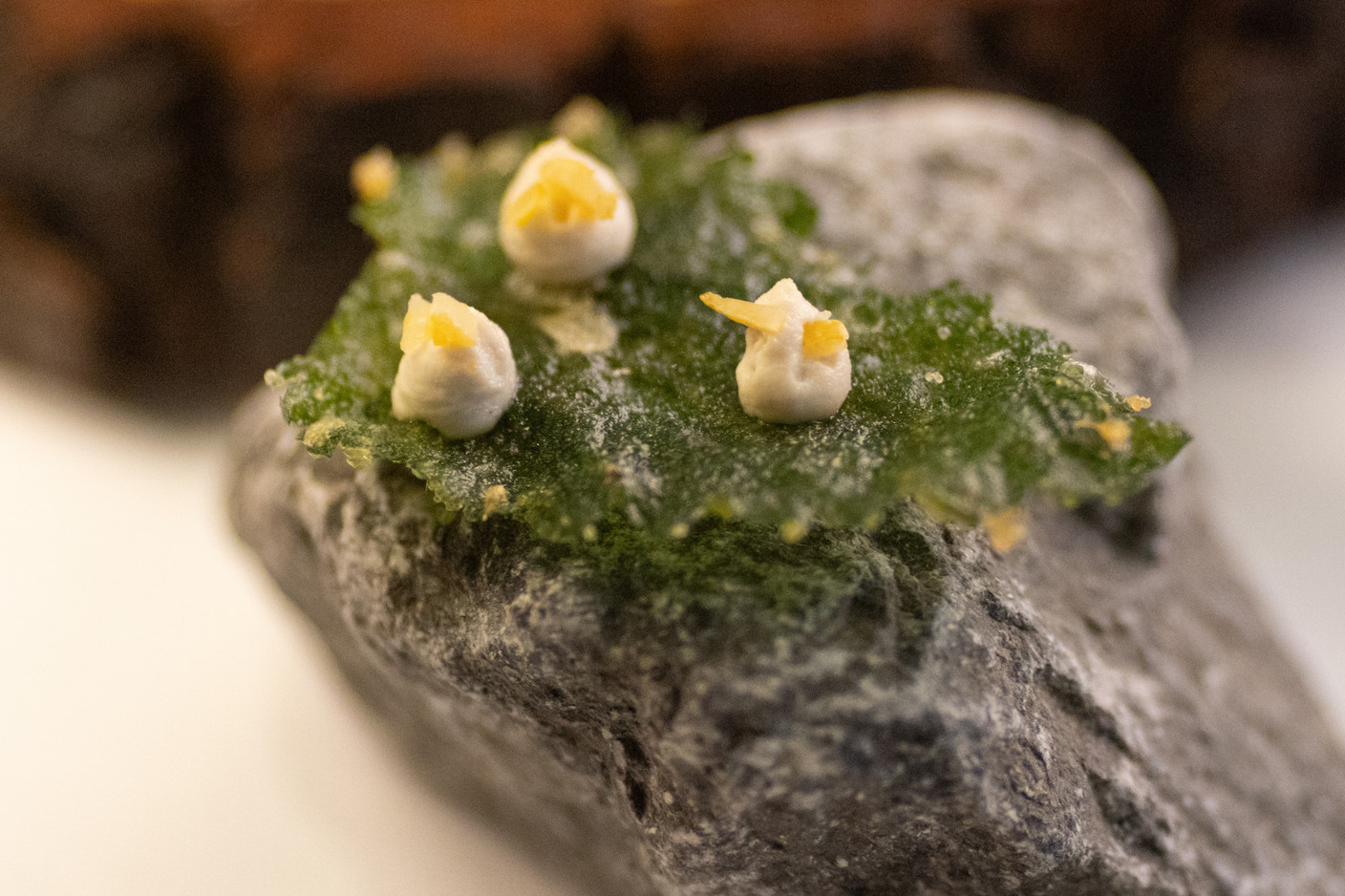 Nettle leaf tempura with fermented cashew nuts. Photo: Guy Wolff/Maison Moderne
