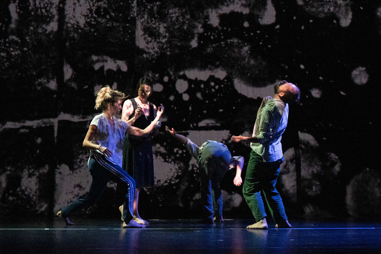 The project name Choreochroma by Lucoda stems from the word choreography and Greek word “chroma” meaning colour. Photo: Guido Bosua 