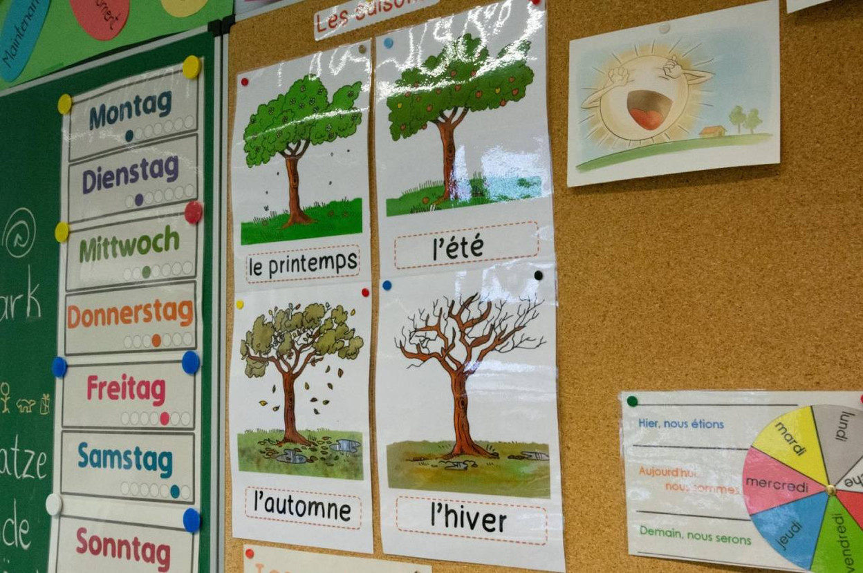 Members are due to vote on 3 December on the reform of opening up the choice of literacy language in basic education. (Photo: Chambre des députés)
