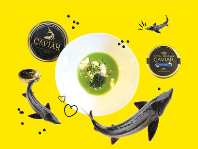 Les petits grains noirs qui font tant d’effet: le caviar continue à faire saliver les gourmets du monde entier! (Design: Marie Königsdörfer/Maison Moderne)