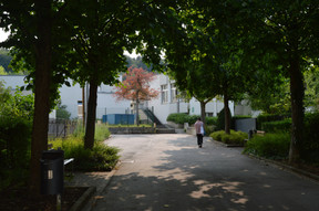 The neighbourhood is very close to nature.  Photo: Maëlle Hamma/Maison Moderne