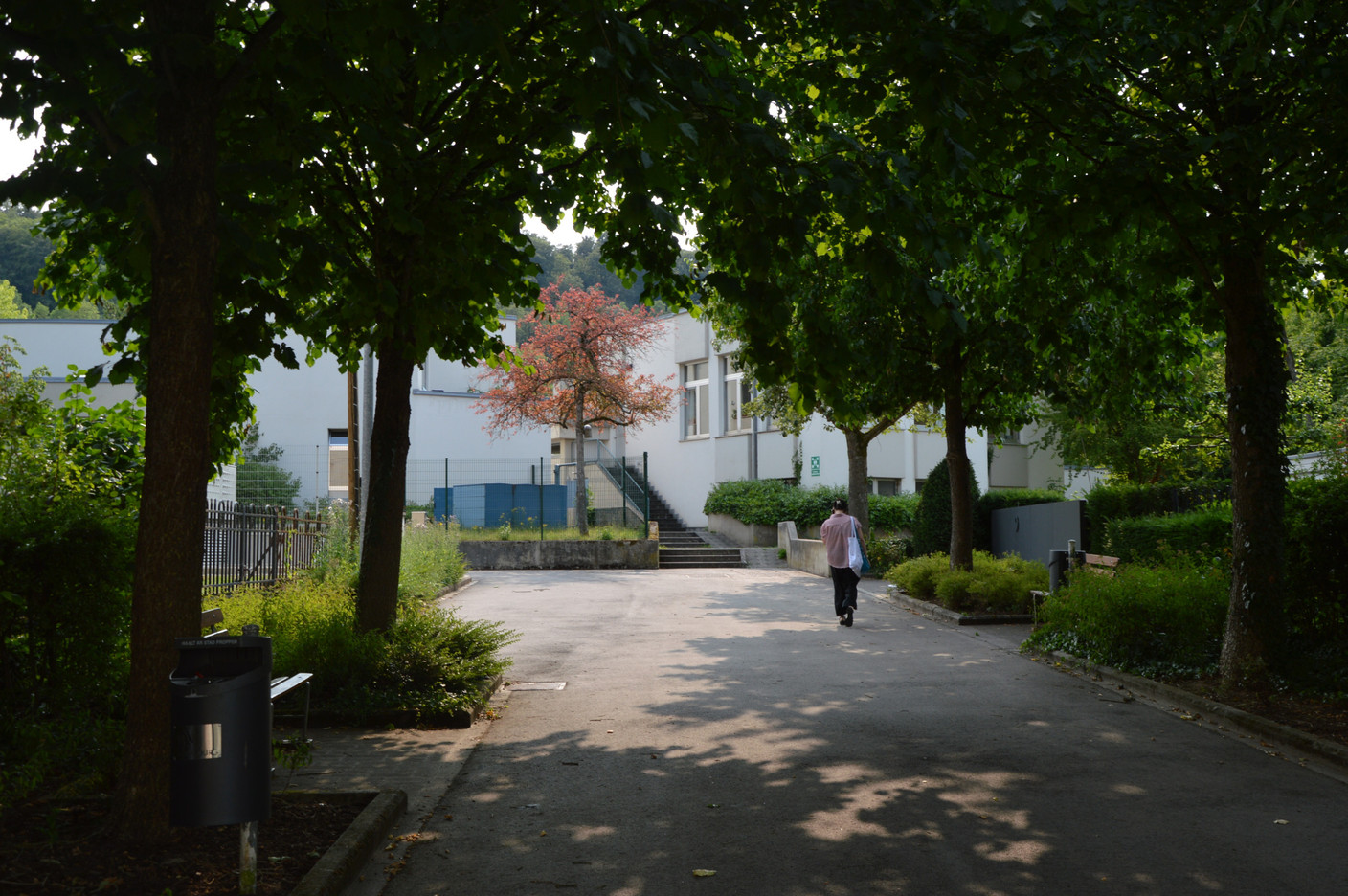 The neighbourhood is very close to nature.  Photo: Maëlle Hamma/Maison Moderne