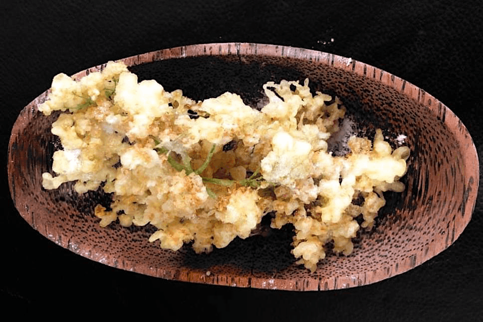 Les fleurs de sureau se prêtent tout à fait à la friture légère, à la façon d’un tempura...  (Photo: Back to our roots) 