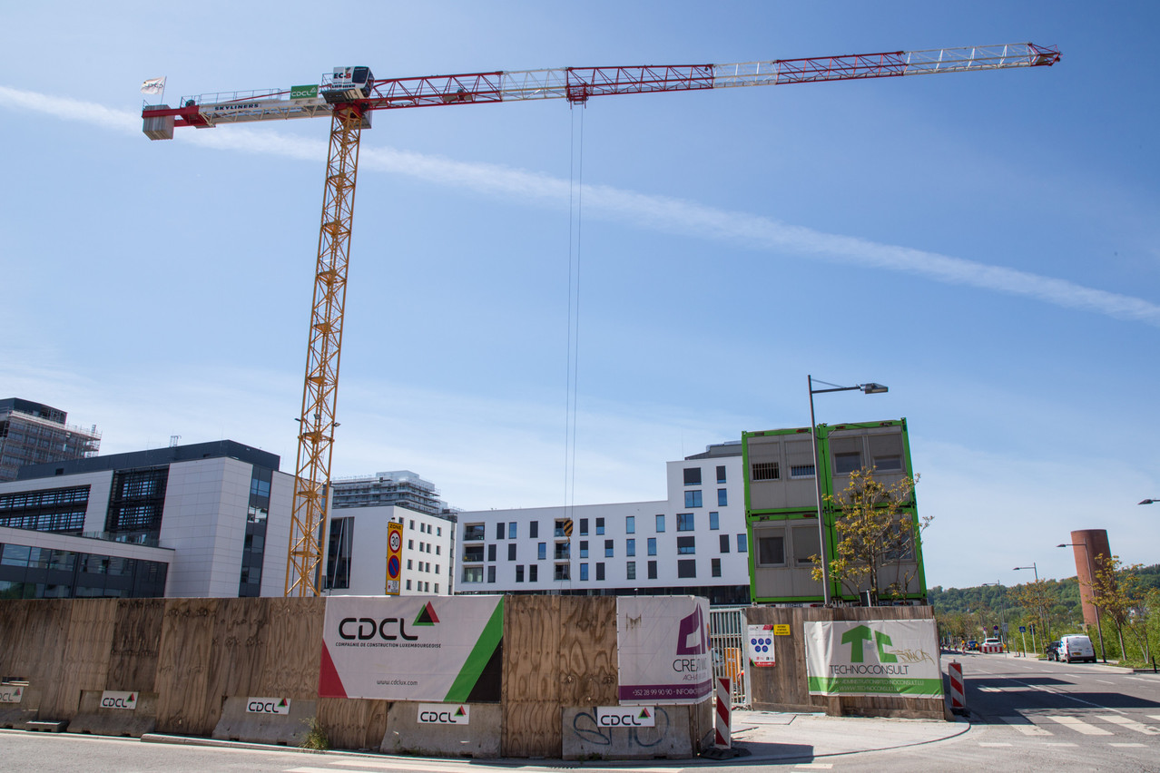 Le ballet des grues continue à Belval. (Photo: Agora)