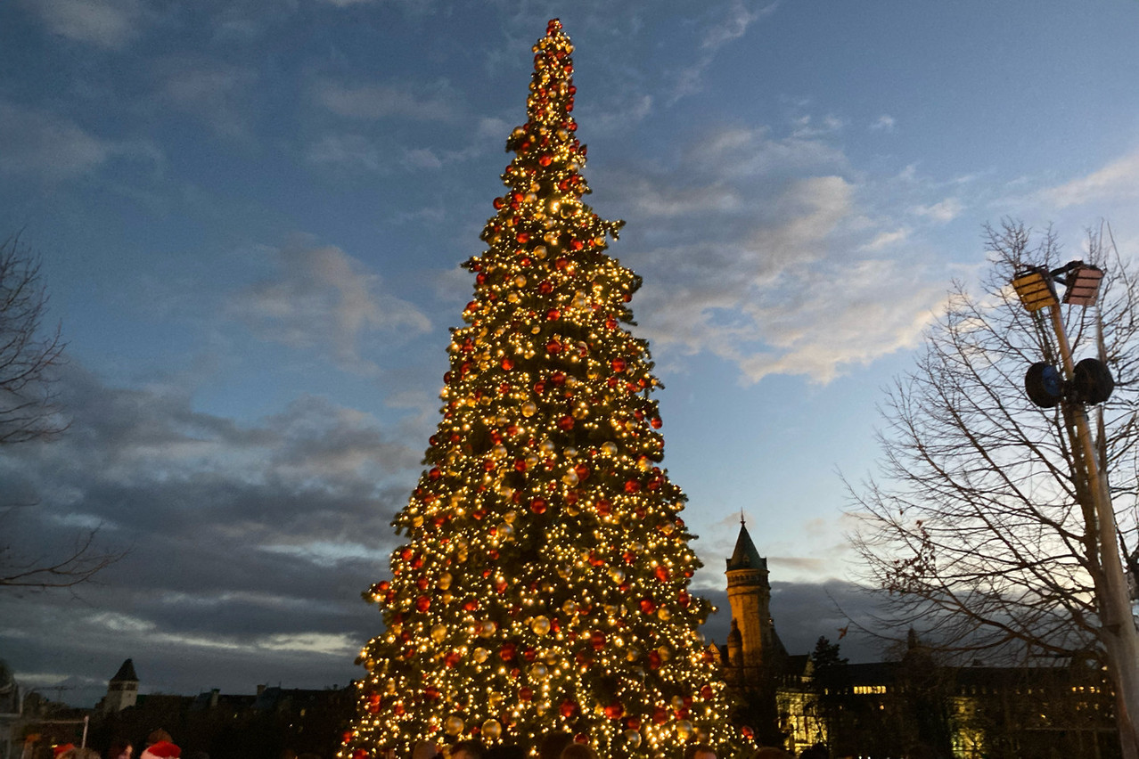 The Christmas tree at the Luxembourg Christmas market will be lit up from 22 November. Photo: Emilio Naud/Maison Moderne