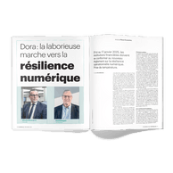 Dora: the laborious march towards digital resilience. Photo: Maison Moderne