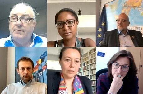 Charles Goerens, Monica Semedo, Marc Angel, Christophe Hansen, Isabel Wiseler-Lima et Tilly Metz ont rejoint le Parlement européen ou rempilé l’an dernier. (Capture d’écran: EPLO Luxembourg )