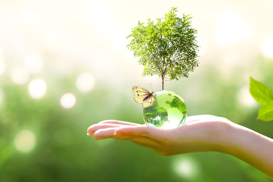 The future of future generations and the building of a sustainable society depend intrinsically on the preservation of the world's natural heritage. Photo: Shutterstock
