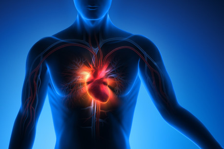 Les dispositifs médicaux révolutionnaires de CorWave sont le premier projet européen à recevoir 15 millions d’une Union européenne investisseuse. (Photo: Shutterstock)