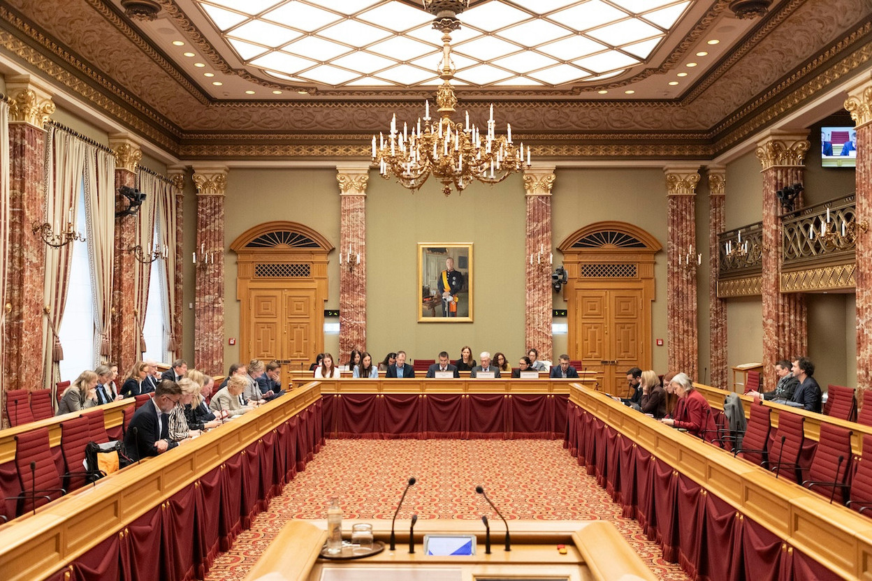 In the last week of plenary sessions of the year, MEPs will approve the budget and various key texts for the government, such as the reform of shop opening hours and pension reform. (Photo: Luxembourg Chamber of Deputies)