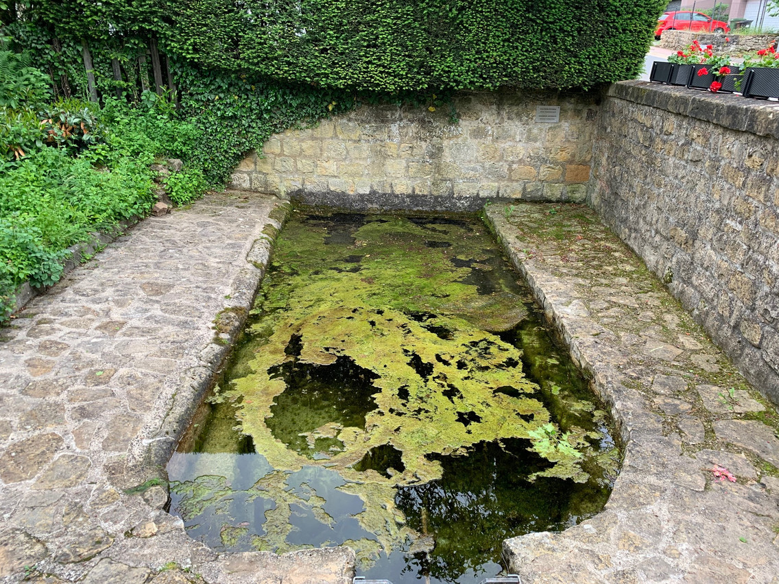 The artesian well in Syren Anna Fox