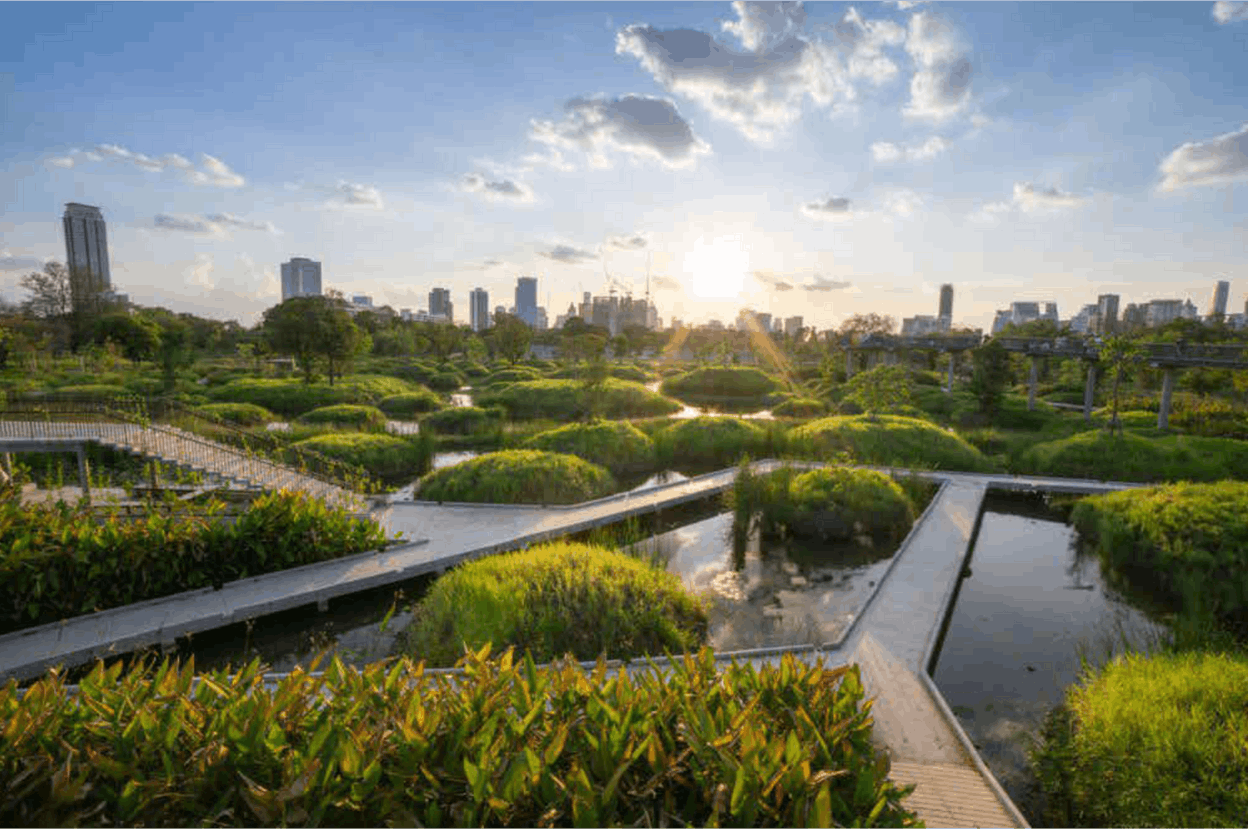 An innovative urban park, a true oasis of greenery in the heart of the city. (Photo: Banque de Luxembourg)