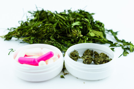 Le Luxembourg a été un des premiers pays en Europe à autoriser le traitement de certaines pathologies par cannabis médical. (Photo: Shutterstock)