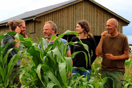 Mattias Fontaine, Michaël Peiffer, Irène Portas Vázquez et Luc Koedinger sont quatre des cinq membres de l’équipe de Canopée. (Photo: Canopée)