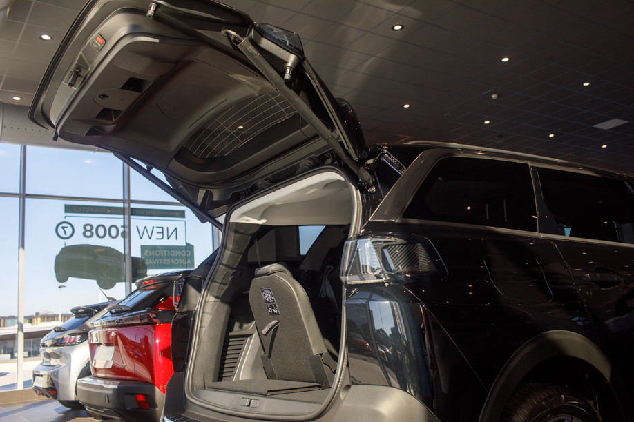 In July, 307 100% electric cars were newly registered. (Photo: Matic Zorman/Maison Moderne)