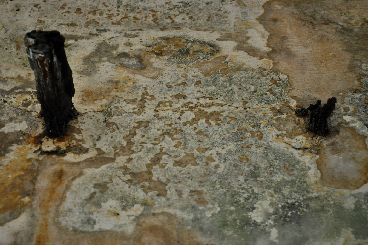Untitled #1, extract from “Too far too close,” a documentary video by Carine Krecké, 2025.  Photo: Carine Krecké 2024