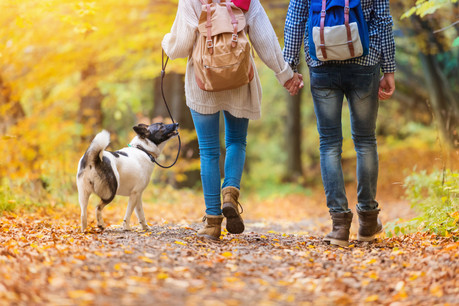 Une balade dans les bois? Oui, mais en gardant ses distances. (Photo: Shutterstock)